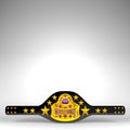 Champion Belt On White Text Space Royalty Free Stock Photo