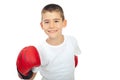 Champion boy with boxing glove Royalty Free Stock Photo