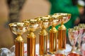 Champion golden trophies, many shiny golden trophy cups lined up in row on table, trophy awards Royalty Free Stock Photo