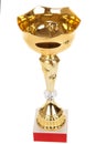 Champion golden trophy isolated on white background,gold trophy