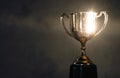 Champion golden trophy placed on wooden table Royalty Free Stock Photo