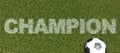 Champion - grass letters on football field3D rendering Royalty Free Stock Photo