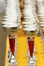 Champion trophies Royalty Free Stock Photo
