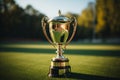 Champions cup gleams, trophy against a blurred green sports field