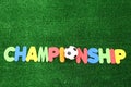Championship ball Royalty Free Stock Photo