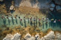 Championship River Rock Skipping Contest Royalty Free Stock Photo