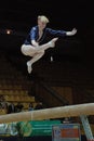 Championship on sporting gymnastics