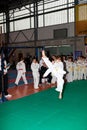 Championships Taekwon-do Royalty Free Stock Photo