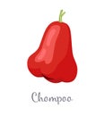 Champoo Exotic Juicy Fruit Vector Isolated. Java apple