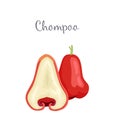 Champoo Exotic Juicy Fruit Vector Isolated. Java apple