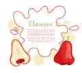 Champoo Exotic Juicy Fruit Vector Isolated. Java apple