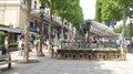 Champs Elysees Royalty Free Stock Photo