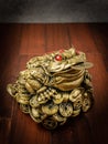 The chan chu toad lucky symbol in Chinese for religion concept Royalty Free Stock Photo