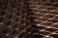 Chand Baori farewells, Jaipur, Rajastan