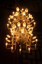 Chandelier Royalty Free Stock Photo