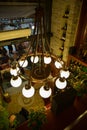 chandelier in the restaurant