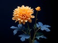 Chandramallika flower in studio background, single Chandramallika flower, Beautiful flower, ai generated image