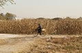 Chaneese farmer on the bicycle