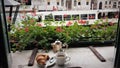 Chanel view breakfast