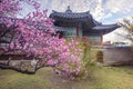 Changdeokgung Palace, South Korea Royalty Free Stock Photo