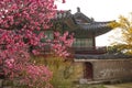 Changdeokgung Palace in Spring Seoul South Korea. Royalty Free Stock Photo