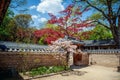 Changdeokgung, royal palace in Seoul, Secret garden, Spring time. popular destination for travel in Asia