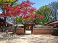 Changdeokgung, royal palace in Seoul, Secret garden, Spring time. popular destination for travel in Asia