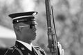 Change of the Guard in Arlington Cemetery Royalty Free Stock Photo