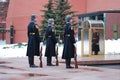 Change of the guard of honour Royalty Free Stock Photo