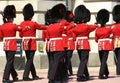 Change of the Guard, London Royalty Free Stock Photo