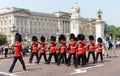Change of the Guard, London Royalty Free Stock Photo