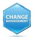 Change Management crystal blue hexagon button