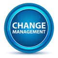 Change Management Eyeball Blue Round Button