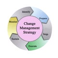 Change Management Strategy