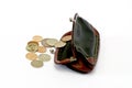 Change purse Royalty Free Stock Photo