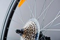 Change- Speed And Chain Of New Bicycle Royalty Free Stock Photo