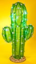 change to real cactus