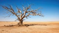 change tree drought Royalty Free Stock Photo