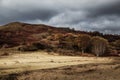 The prairie in autumn