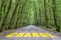 Jungle road to change Royalty Free Stock Photo