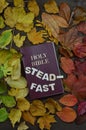 Changeable autumn leaves with bible and word steadfast