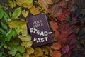 Changeable autumn leaves with bible and word steadfast