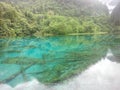 Changhai is the highest altitude and widest Lake in Jiuzhaigou