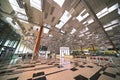 Terminal 3, with skylights to allow natural lighting as well as green wall with hanging creepers to create a tropical feel