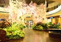 Changi Airport offer one of the most stunning architecture with a lot of shopping mall, restaurants and beautiful indoor garden to