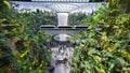 Changi Airport, Singapore - February 18, 2023 - The view of the indoor waterfall at Jewel and the Skytrain passing the Rain Vortex