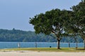 Changi Point Ferry Terminal