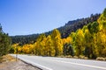 Changing Colors Of Trees In Fall Along Mountain Highway