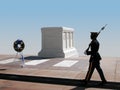 Changing of the Guard, Arlington National Cemetery Royalty Free Stock Photo