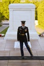 Changing of the Guard Arlington National Cemetery Royalty Free Stock Photo